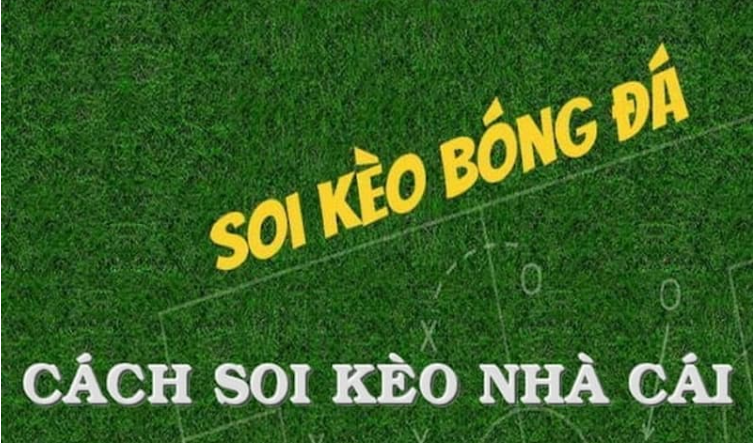 Hướng dẫn xem tỷ lệ kèo nhà cái tại tenisweb chính xác Hướng dẫn xem tỷ lệ kèo nhà cái tại tenisweb chính xác