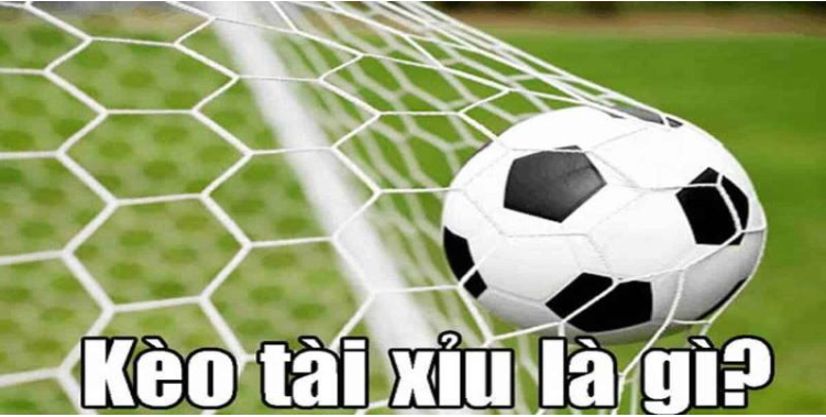 Một số kèo tài xỉu phổ biến tại nhà cái Aog777 Một số kèo tài xỉu phổ biến tại nhà cái Aog777